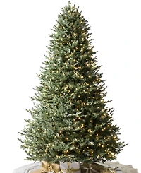 Balsam Hill 7.5' Pre-Lit Fir Ledc Artificial Christmas Tree