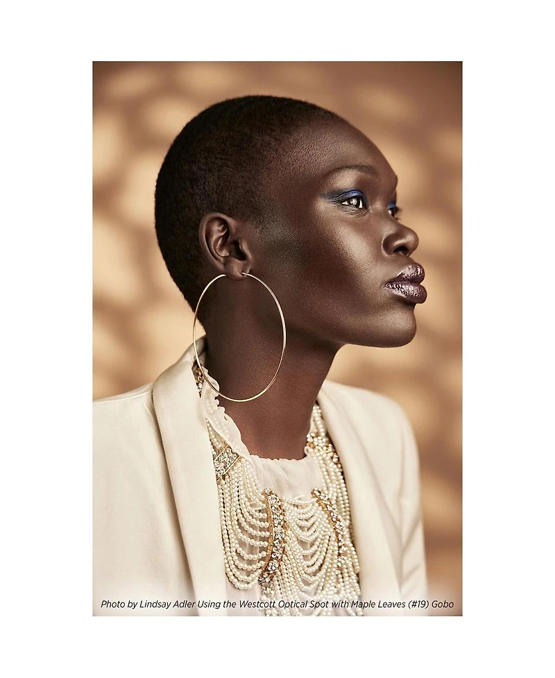 Westcott Environmental Gobo Pack for Optical Spot by Lindsay Adler, 10-Pack