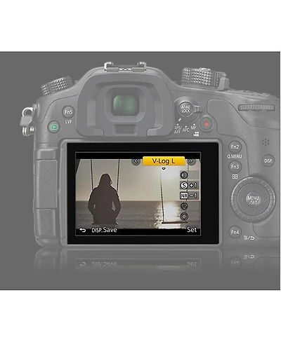 Panasonic V-Log L Function Firmware Upgrade Kit for Dmc-GH4, Dc-GH5, and Dmc-FZ2500 Cameras, Card with Software Activation Code