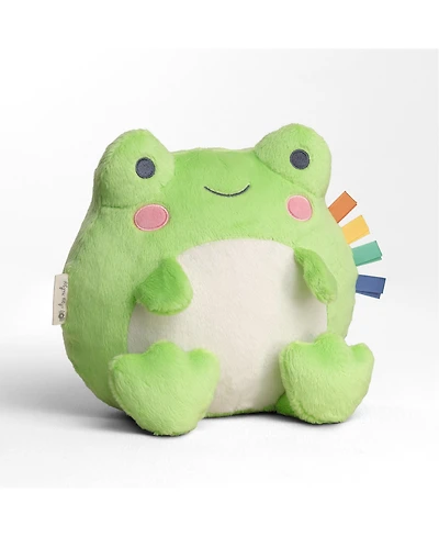 Itzy Ritzy Baby Sweetie Snuggles Frog