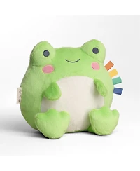 Itzy Ritzy Baby Sweetie Snuggles Frog