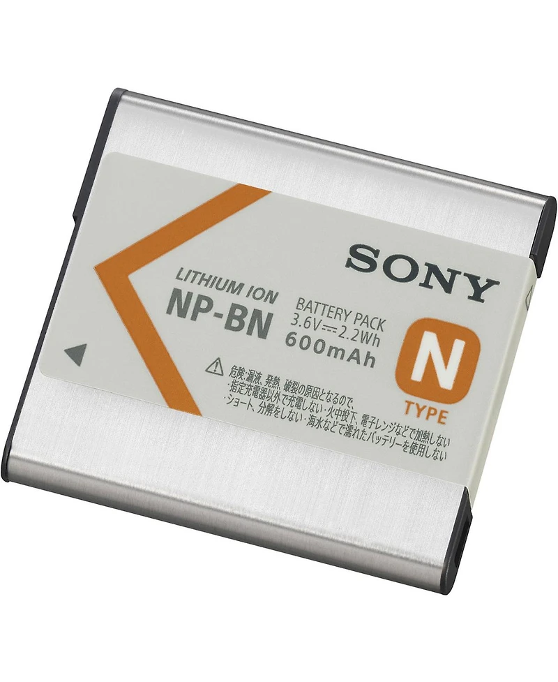Sony Rechargeable Batt Pk