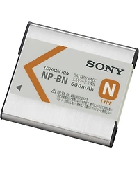Sony Rechargeable Batt Pk