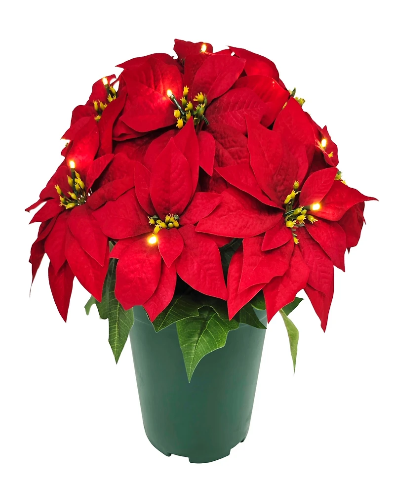 Puleo 22" Pre-Lit Artificial Potted Poinsettias