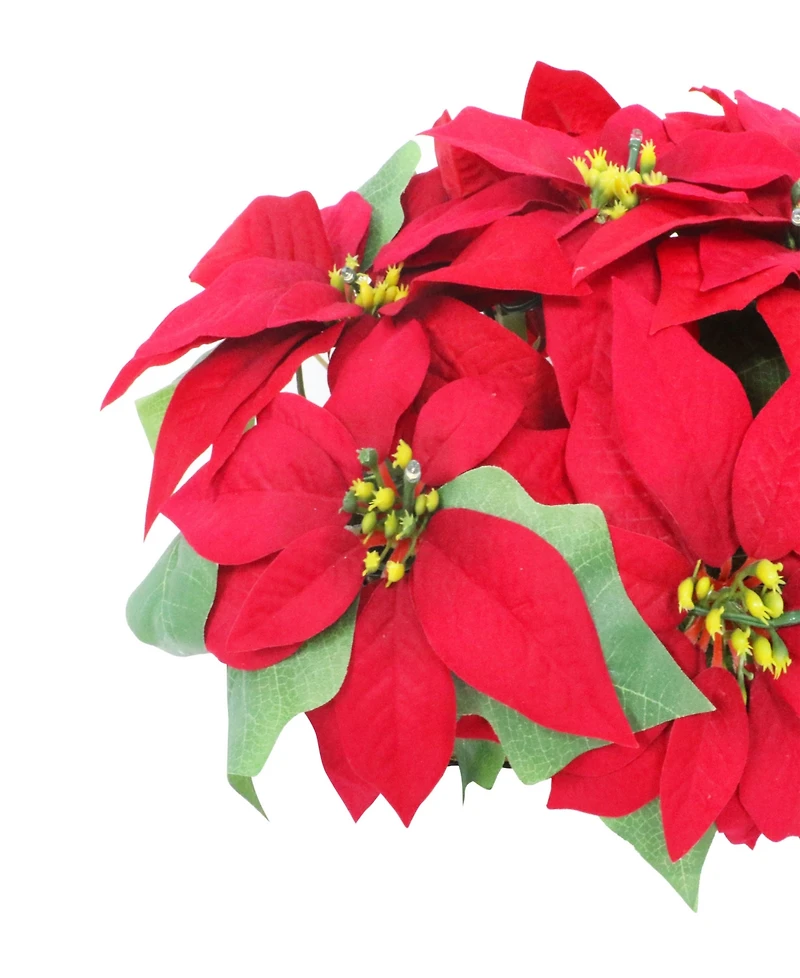 Puleo 24" Pre-Lit Artificial Poinsettia Window Box Decor