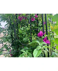Streamdale Furniture Metal Garden Trellis 2-Pack for Climbing Plants