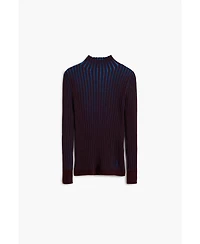 Desigual Women's Fitted ribbed sweater