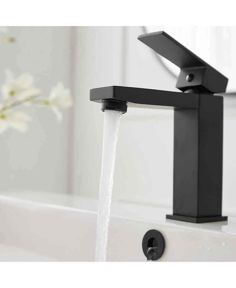 Greenspring Single Hole Single-Handle Bathroom Faucet with drain in Matte Black