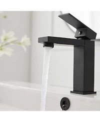 Greenspring Single Hole Single-Handle Bathroom Faucet with drain in Matte Black