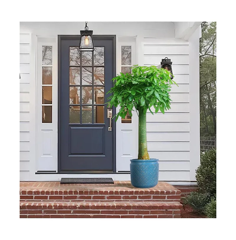 Chic Crate Modern Ceramic Planter Pots Set of 3 Versatile Indoor/Outdoor Flowerpots with Drainage Holes