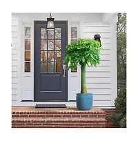 Chic Crate Modern Ceramic Planter Pots Set of 3 Versatile Indoor/Outdoor Flowerpots with Drainage Holes