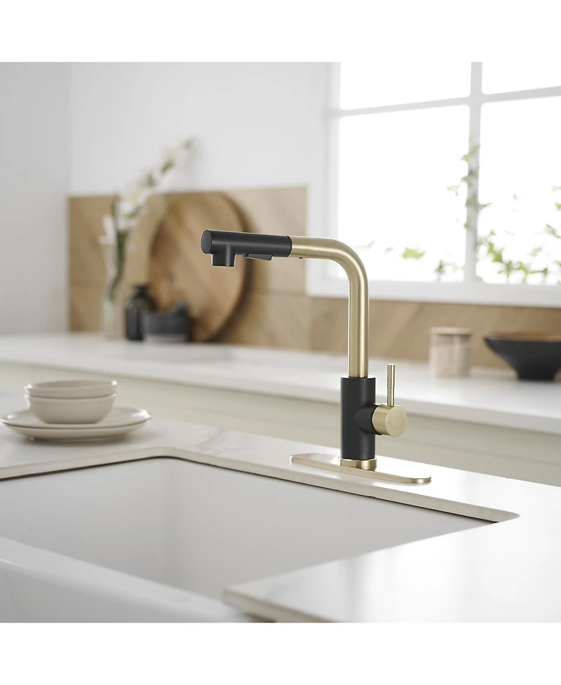 Greenspring 2 Sprayer Single Hole Single-Handle Pull Out Kitchen Faucet in Matte Black and Brushed Gold
