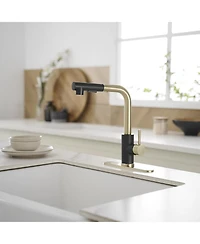 Greenspring 2 Sprayer Single Hole Single-Handle Pull Out Kitchen Faucet in Matte Black and Brushed Gold