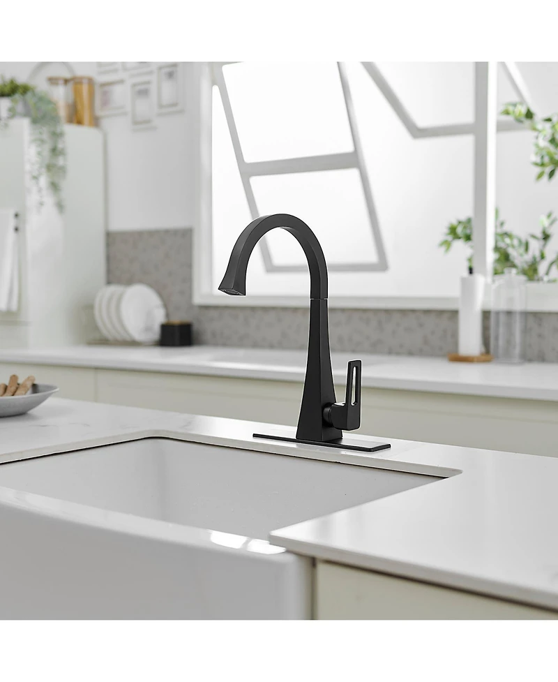 Single Handle Standard Kitchen Sink Faucet in Matte Black