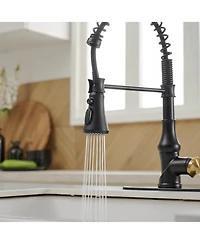 Greenspring Single-Handle Pull-Down Sprayer 3 Spray High Arc Kitchen Faucet With Deck Plate in Matte Black & Gold