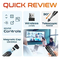 Delton LP99 Presentation Clicker, Laser Pointer (DLP99)