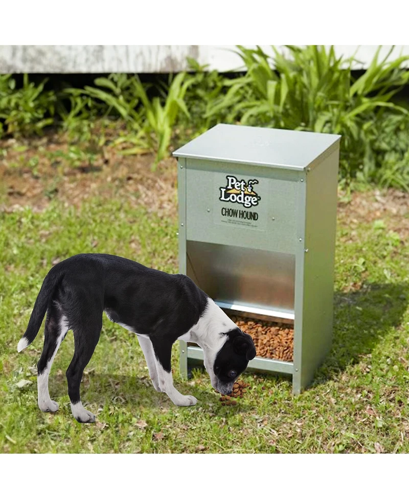 Pet Lodge Dry Food Automatic Steel Dog Feeder Chow Hound w/ 50 Pound Capacity