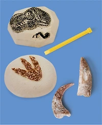 Discovery #Mindblown Dino Fossils Unearthed Excavation Kit 2-Pack