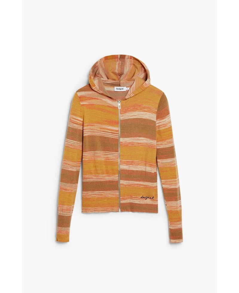 Desigual Women's Striped hoodie with zipper