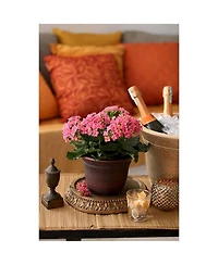 Listo Hc Companies 13-Inch Wide Sierra Planter Round Plastic Planter