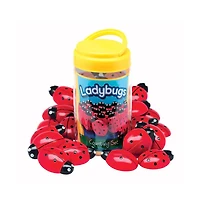 Yellow Door Ladybug Stones and Detailed Activity Cards