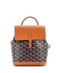 Pre-Owned Goyard Mini Alpin Backpack Coated Canvas