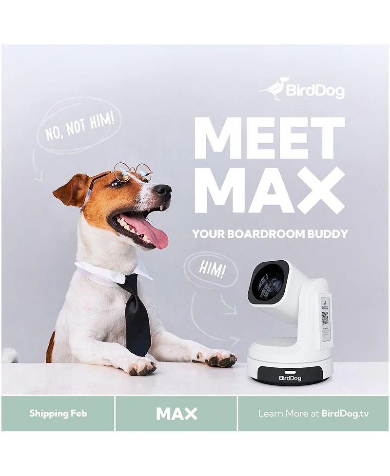 BirdDog BirdDog Max 12X Ptz Camera (White)