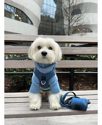 Dogistry 3-in-1 City Dog Leash