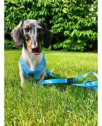 Dogistry 3-in-1 City Dog Leash