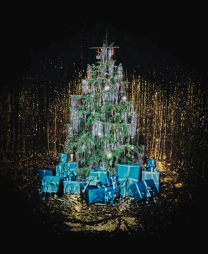 Waterford Elton John Ornament Collection