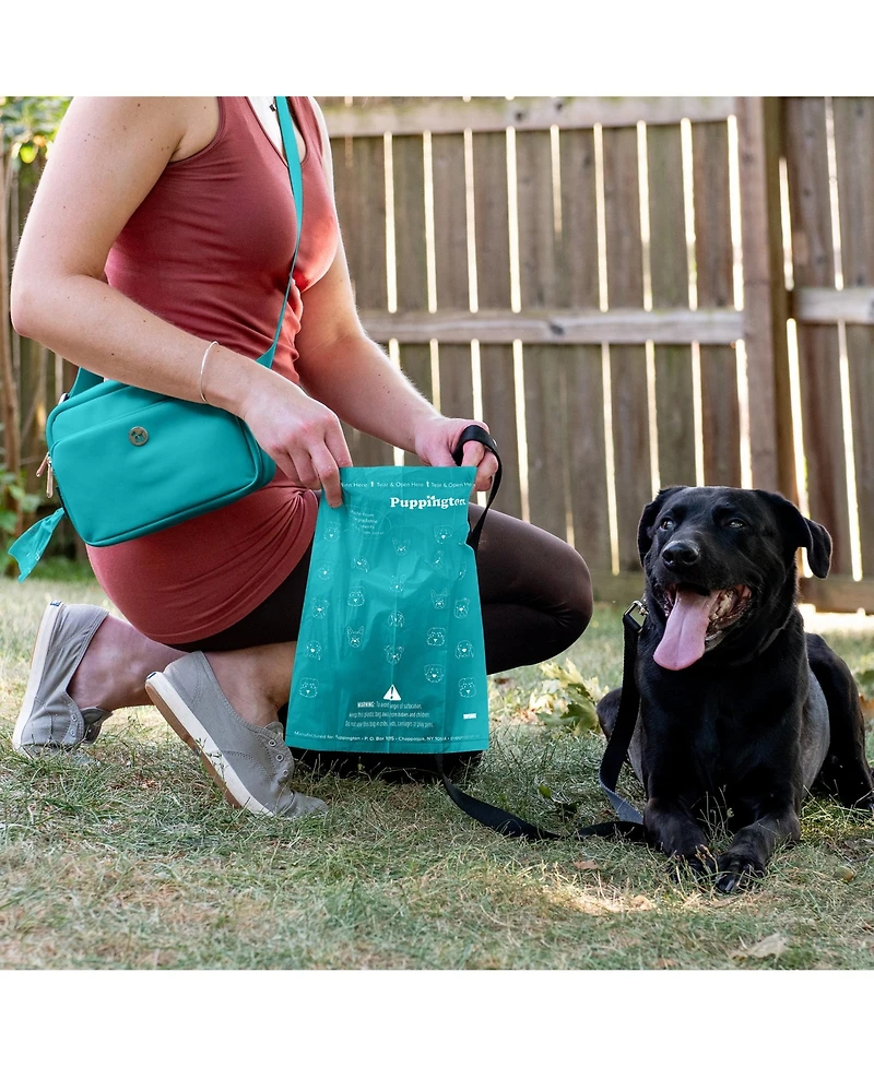 Compo Dog Poop Bags, 180 Bags, Lagoon Teal