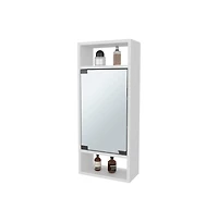 Chic Crate-Pine-Like Medicine Cabinet Mirrored Door & Open Storage | White
