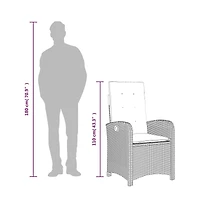 vidaXL Reclining Garden Chair Black Pe Rattan Standard