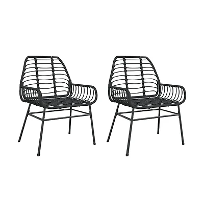 vidaXL Garden Chair Black Pe rattan, powder-coated steel Medium