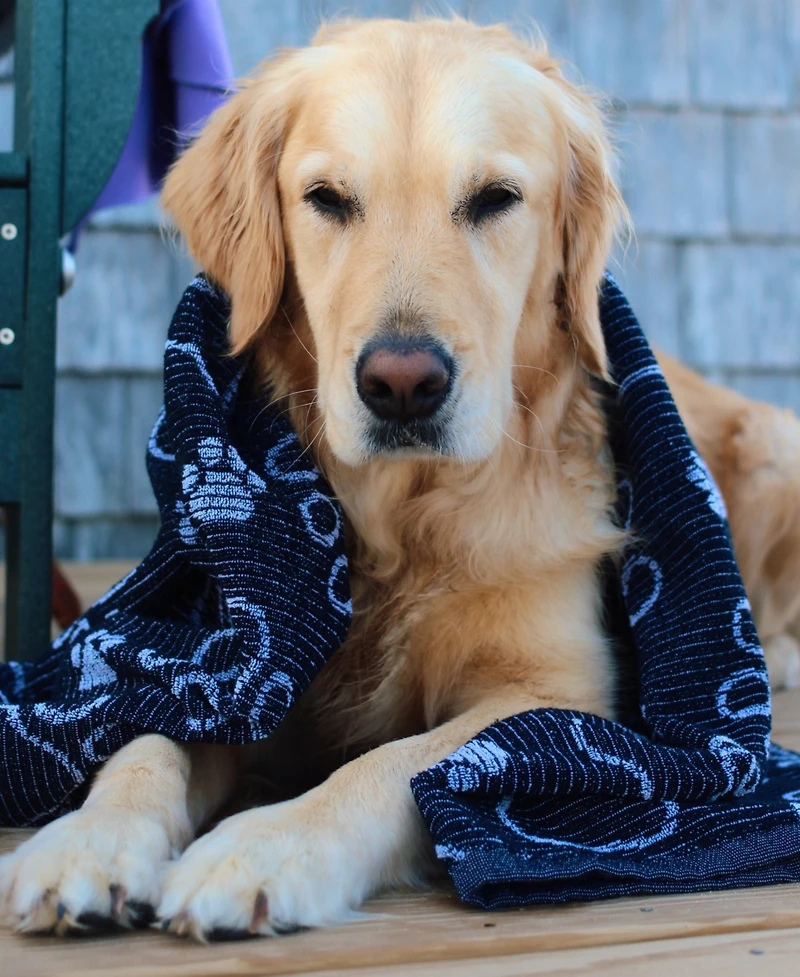 Delilah Home Drytek High Performance Dog Bath Towel 30" X 54"