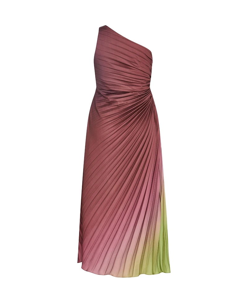 City Chic Women's Aliza Print Pleat Maxi Dress