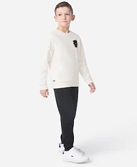 Lacoste Boys 8-20 Chenille Patch Crewneck Sweatshirt