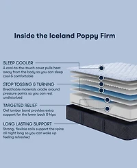 Serta Perfect Sleeper Iceland Poppy 12" Firm Tight Top Mattress, Twin