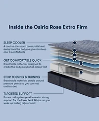 Serta Perfect Sleeper Osiria Rose 12" Extra Firm Tight Top Mattress, Twin Xl