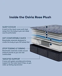 Serta Perfect Sleeper Osiria Rose 13" Plush Tight Top Mattress, Twin