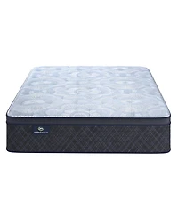 Serta Perfect Sleeper Iceland Poppy 14" Plush Pillow Top Mattress Set, Twin
