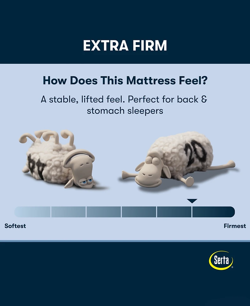 Serta Perfect Sleeper Osiria Rose 12" Extra Firm Tight Top Mattress Set, Twin