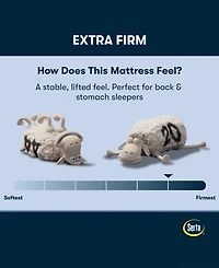 Serta Perfect Sleeper Osiria Rose 12" Extra Firm Tight Top Mattress Set, Twin