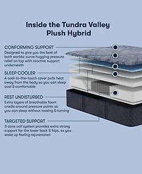 Serta Perfect Sleeper Tundra Valley 14" Plush Hybrid Tight Top Mattress Set, Twin