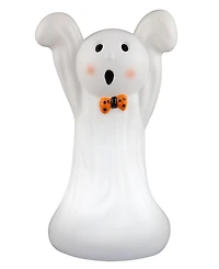 24 in. Outdoor Ghost Lit Blow Mold