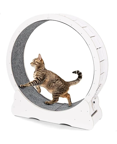 Aecojoy 35.8'' Cat Wheel for Indoor Cats