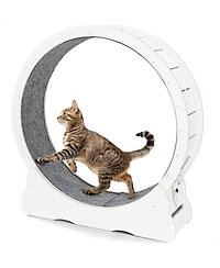 Aecojoy 35.8'' Cat Wheel for Indoor Cats