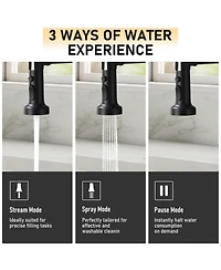 Mondawe pull down kitchen faucet
