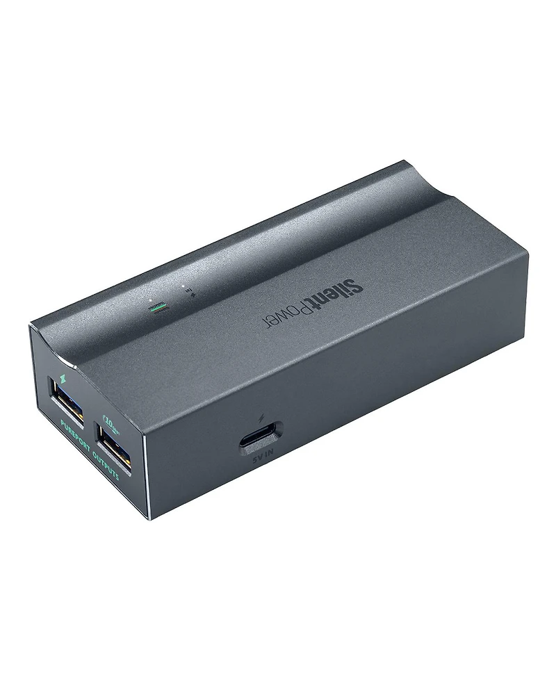 iFi Audio Usb iPurifier Pro Isolated Usb Noise Purifier with Actie Noise Cancellation