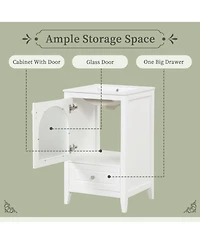 Casainc 20" Bathroom Vanity with Sink, Cabinet with Soft Closing Glass Door and One Drawer